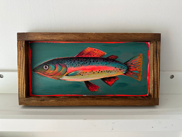 Small Rainbow Trout